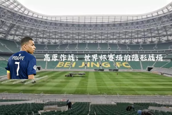 高原作战：世界杯赛场的隐形战场
