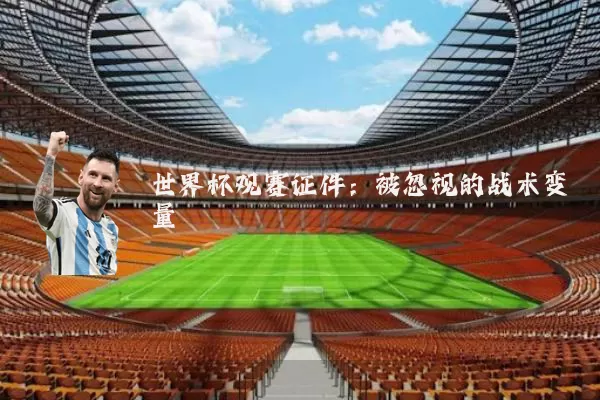 世界杯观赛证件：被忽视的战术变量